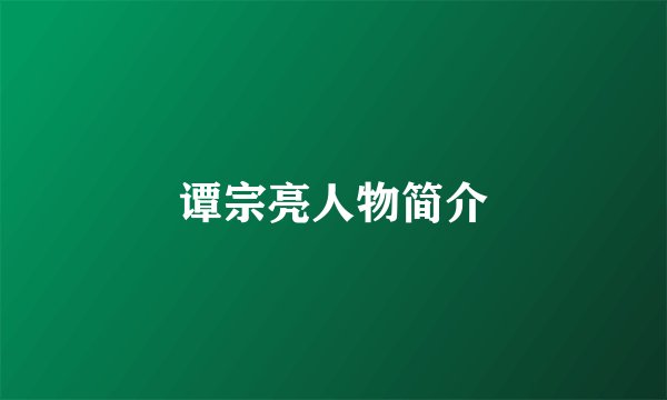 谭宗亮人物简介