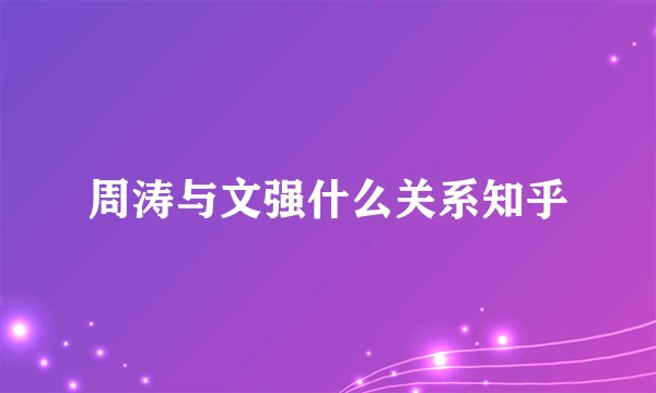 周涛与文强什么关系知乎