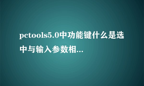 pctools5.0中功能键什么是选中与输入参数相匹配的文件名?