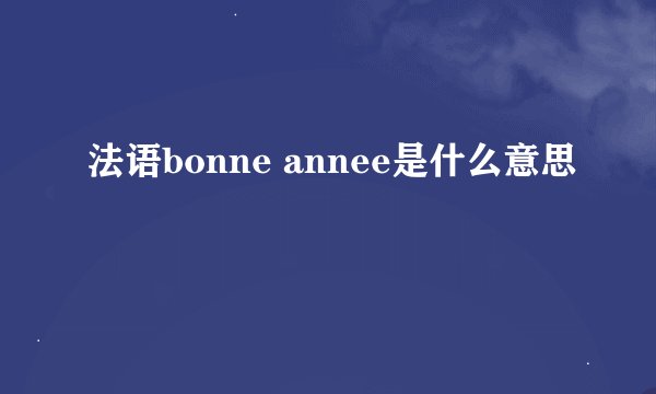 法语bonne annee是什么意思