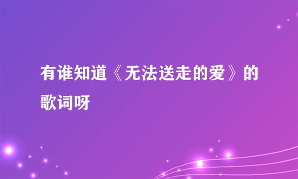 有谁知道《无法送走的爱》的歌词呀