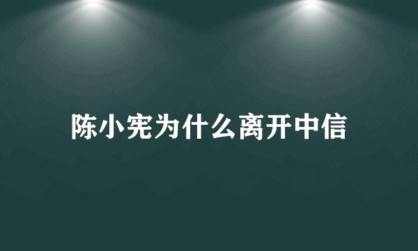 陈小宪为什么离开中信
