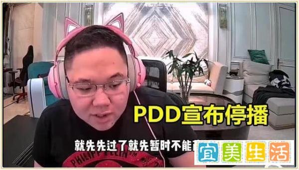 PDD宣布暂停直播，说出停播原因后，网友：这次骚猪真的要裂开了