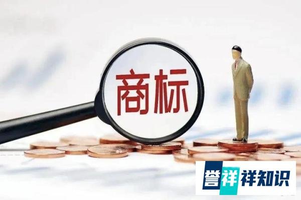 奥迪把蔚来告上德国法庭：指控ES6、ES8侵权S6、S8！