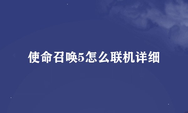 使命召唤5怎么联机详细