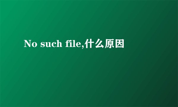 No such file,什么原因