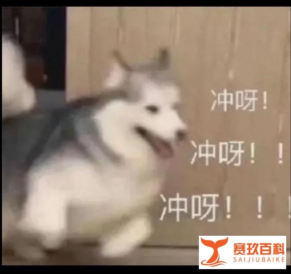 4.15 早盘申购分析,中特转债上市,艾迪转债发行~