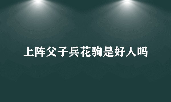 上阵父子兵花驹是好人吗