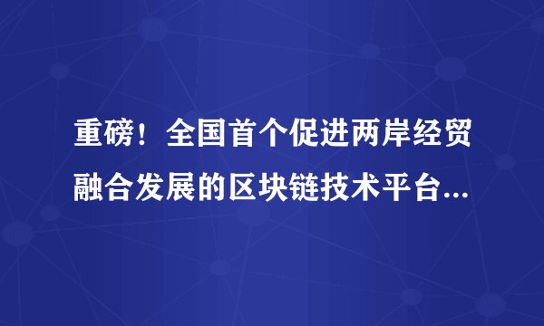 重磅！全国首个促进两岸经贸融合发展的区块链技术平台——“海峡链”正式上线运营