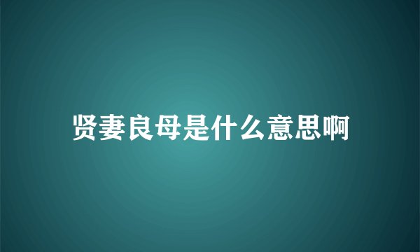 贤妻良母是什么意思啊