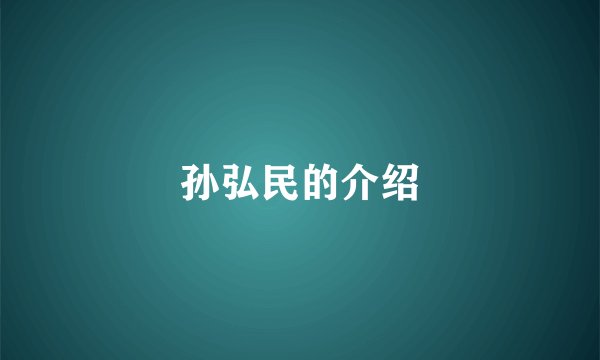 孙弘民的介绍