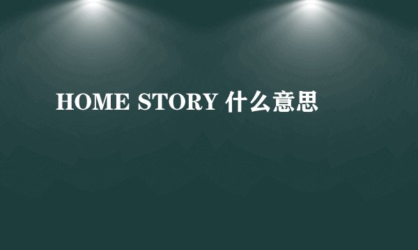 HOME STORY 什么意思