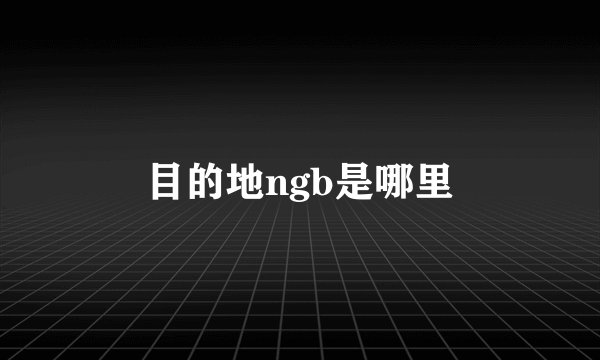 目的地ngb是哪里