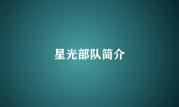 星光部队简介
