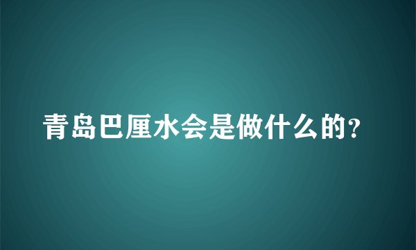 青岛巴厘水会是做什么的？