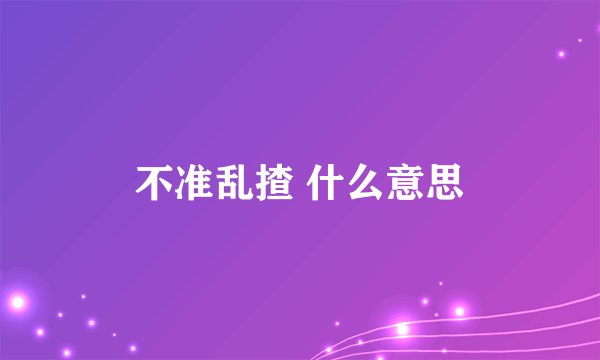 不准乱揸 什么意思