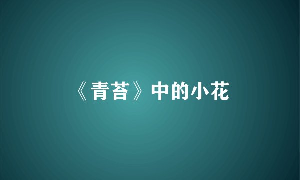 《青苔》中的小花