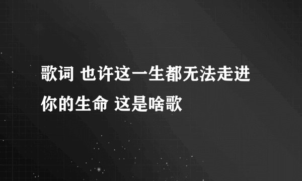 歌词 也许这一生都无法走进你的生命 这是啥歌