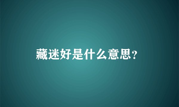 藏迷好是什么意思？