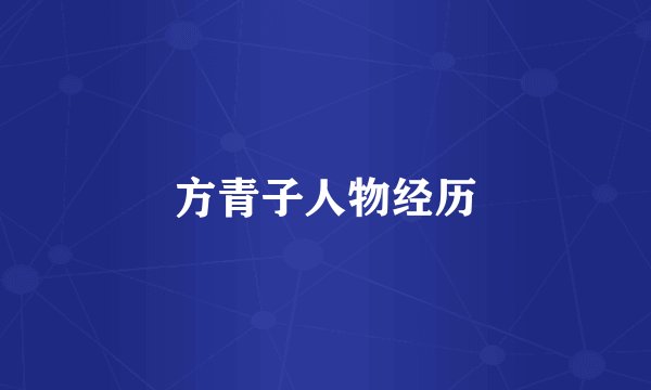 方青子人物经历