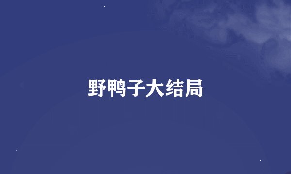 野鸭子大结局