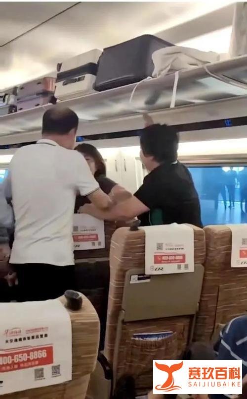 警方再通报“女子高铁拒换座被打”：未要求换座，无霸座行为！