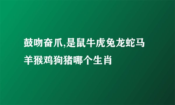 鼓吻奋爪,是鼠牛虎兔龙蛇马羊猴鸡狗猪哪个生肖