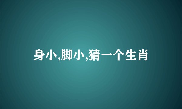 身小,脚小,猜一个生肖
