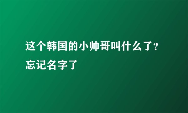 这个韩国的小帅哥叫什么了？忘记名字了