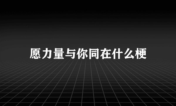 愿力量与你同在什么梗