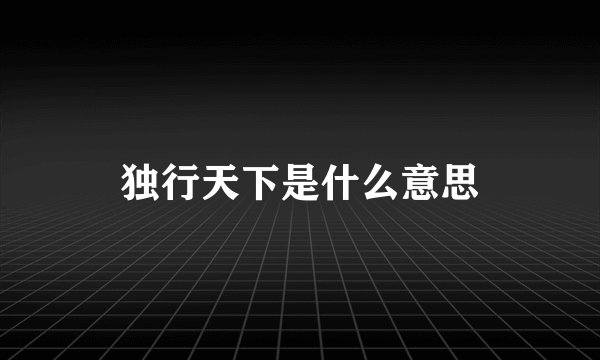 独行天下是什么意思