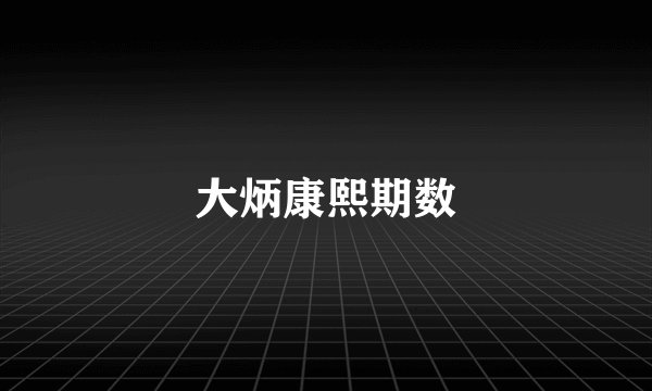 大炳康熙期数