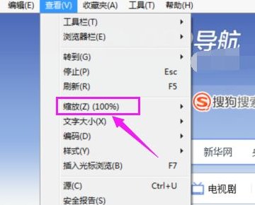 怎么调整IE浏览器中网页对话框大小？