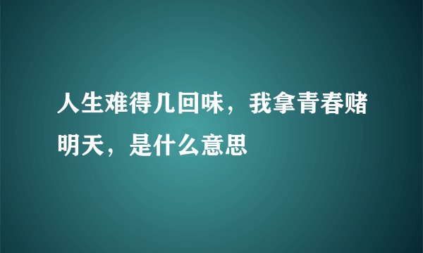 人生难得几回味，我拿青春赌明天，是什么意思