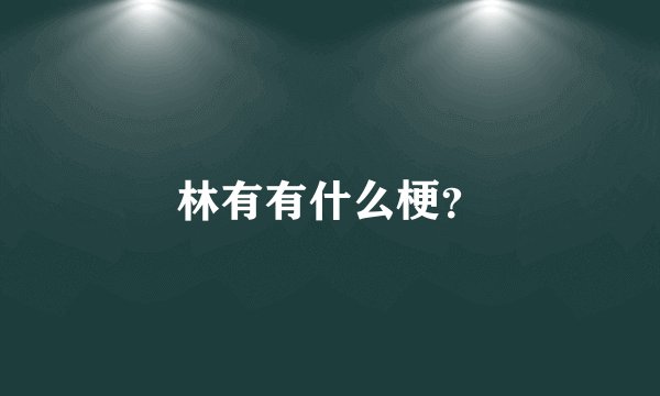 林有有什么梗?