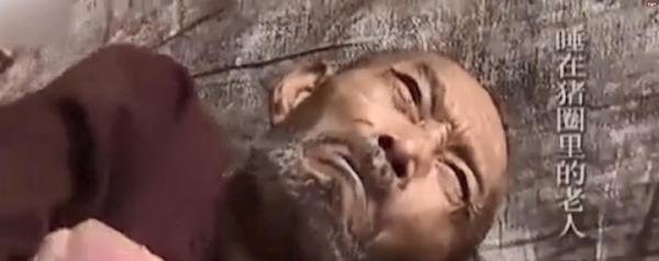 近八旬老人睡猪圈，与狗抢食，女儿称：比乞丐要好