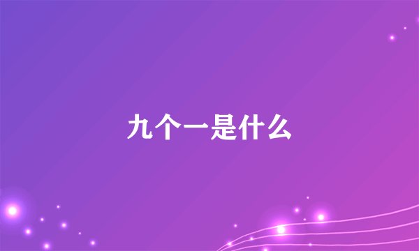 九个一是什么