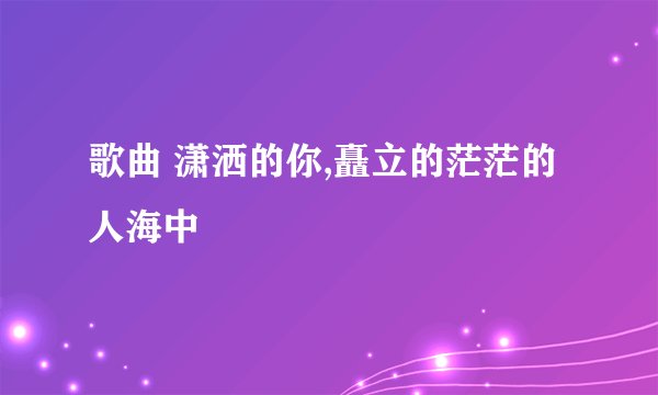 歌曲 潇洒的你,矗立的茫茫的人海中
