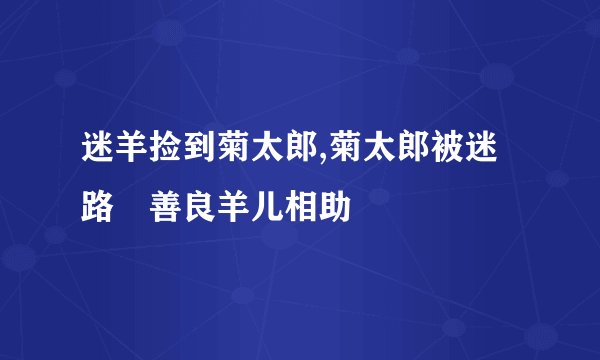 迷羊捡到菊太郎,菊太郎被迷路　善良羊儿相助