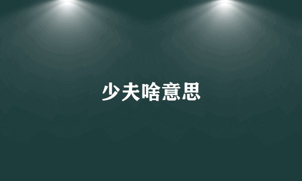 少夫啥意思