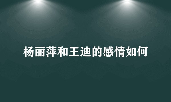 杨丽萍和王迪的感情如何