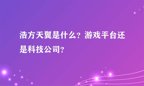 浩方天翼是什么？游戏平台还是科技公司？