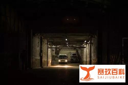 夜车司机的灵异事件，鬼搭车的真实灵异事件