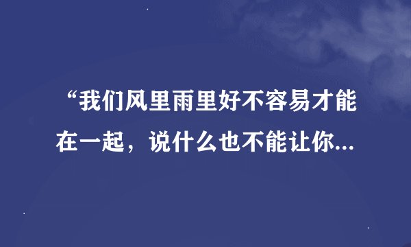 “我们风里雨里好不容易才能在一起，说什么也不能让你就这样离去…”这首歌的名字叫啥