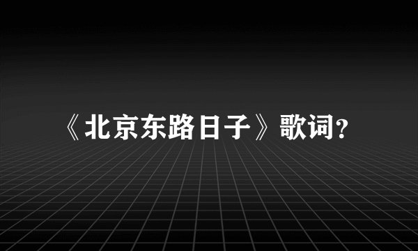 《北京东路日子》歌词？