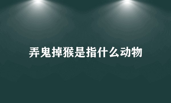 弄鬼掉猴是指什么动物
