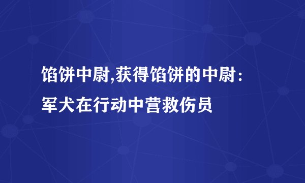 馅饼中尉,获得馅饼的中尉：军犬在行动中营救伤员