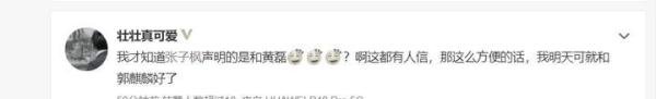 张子枫否认和黄磊有不正当关系，工作室盖章警告：对谣言绝不姑息