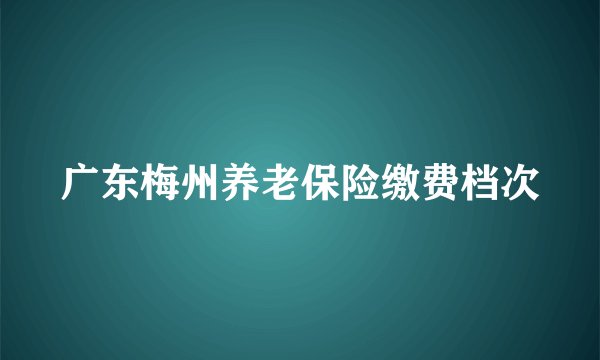 广东梅州养老保险缴费档次