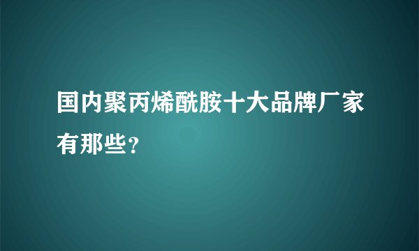 国内聚丙烯酰胺十大品牌厂家有那些？